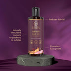 Ovation Onion Korean Ginseng Hair Oil | Grocsy