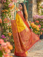 Anaita Yellow Pochampally Printed Saree With Blouse | Grocsy