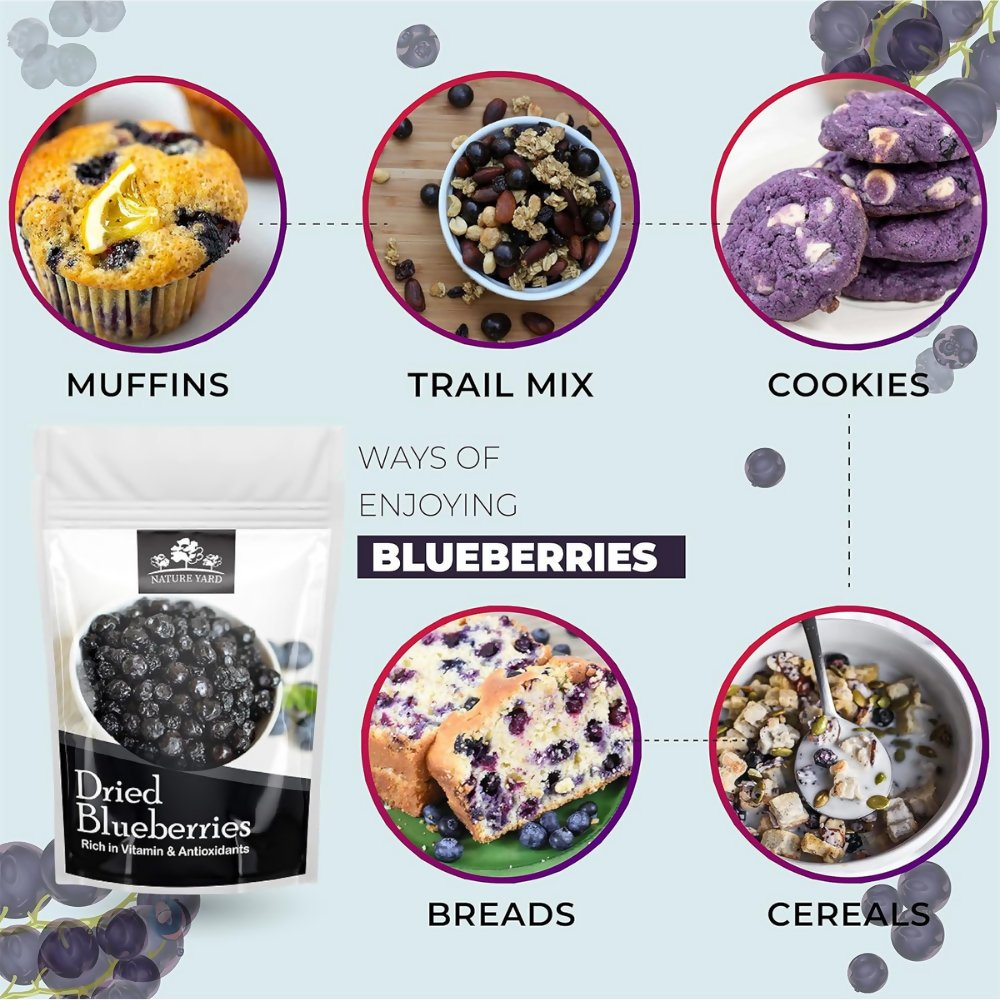Nature Yard Dried Blueberry, Whole Dried Cranberry, Goji Berry, & Kiwi dry fruit | Grocsy