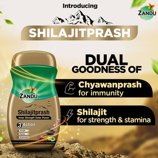 Zandu Sjprash | Grocsy