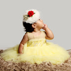 Pink Cow Fashions Yellow Gown With Organza Chest & Net Layer Ghera | Grocsy
