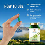 Search Wellness Hadjod Capsules | Grocsy