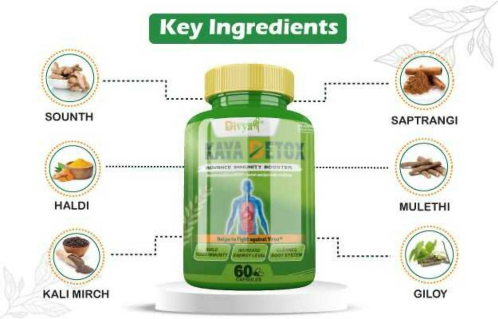 Divya Shree Kaya Detox Capsules | Grocsy