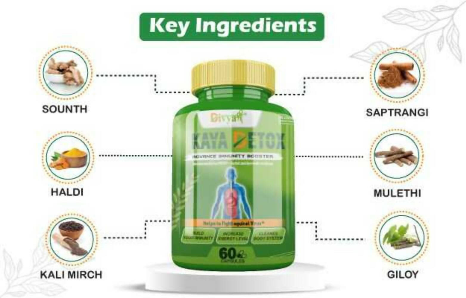 Divya Shree Kaya Detox Capsules | Grocsy