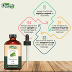 Organic Zing Curry Leaf Oil (Murraya koenigii) Oil | Grocsy
