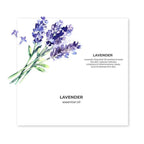 Juicy Chemistry Lavender Essential Oil | Grocsy