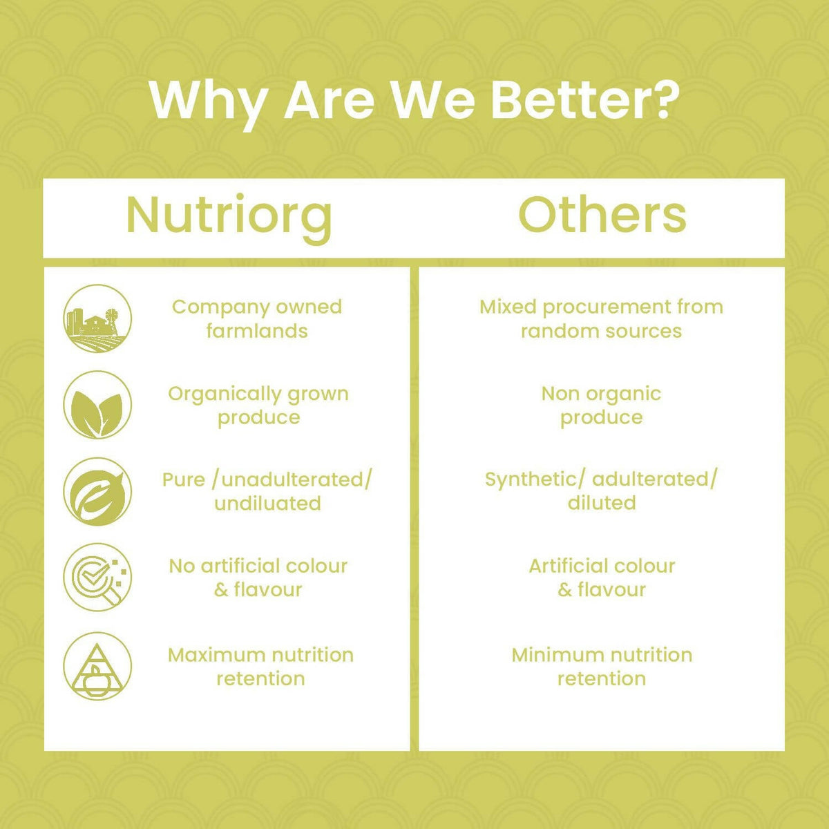 Nutriorg Certified Organic Barley Grass Powder | Grocsy