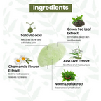 The Natural Wash Salicylic Acid & Neem Body Wash | Grocsy