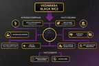 VedaRaSa Natural & Organic Black Rice | Grocsy