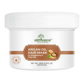 Earth Science Ayurveda Argan Hair Mask | Grocsy