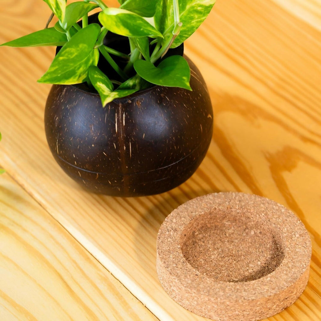 Thenga Handmade Coconut Shell Planter Pot with Cork Tray | Grocsy