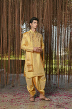 Gold Machine Kanjivaram Embroidered Pattu Set by Hilo Design | Grocsy