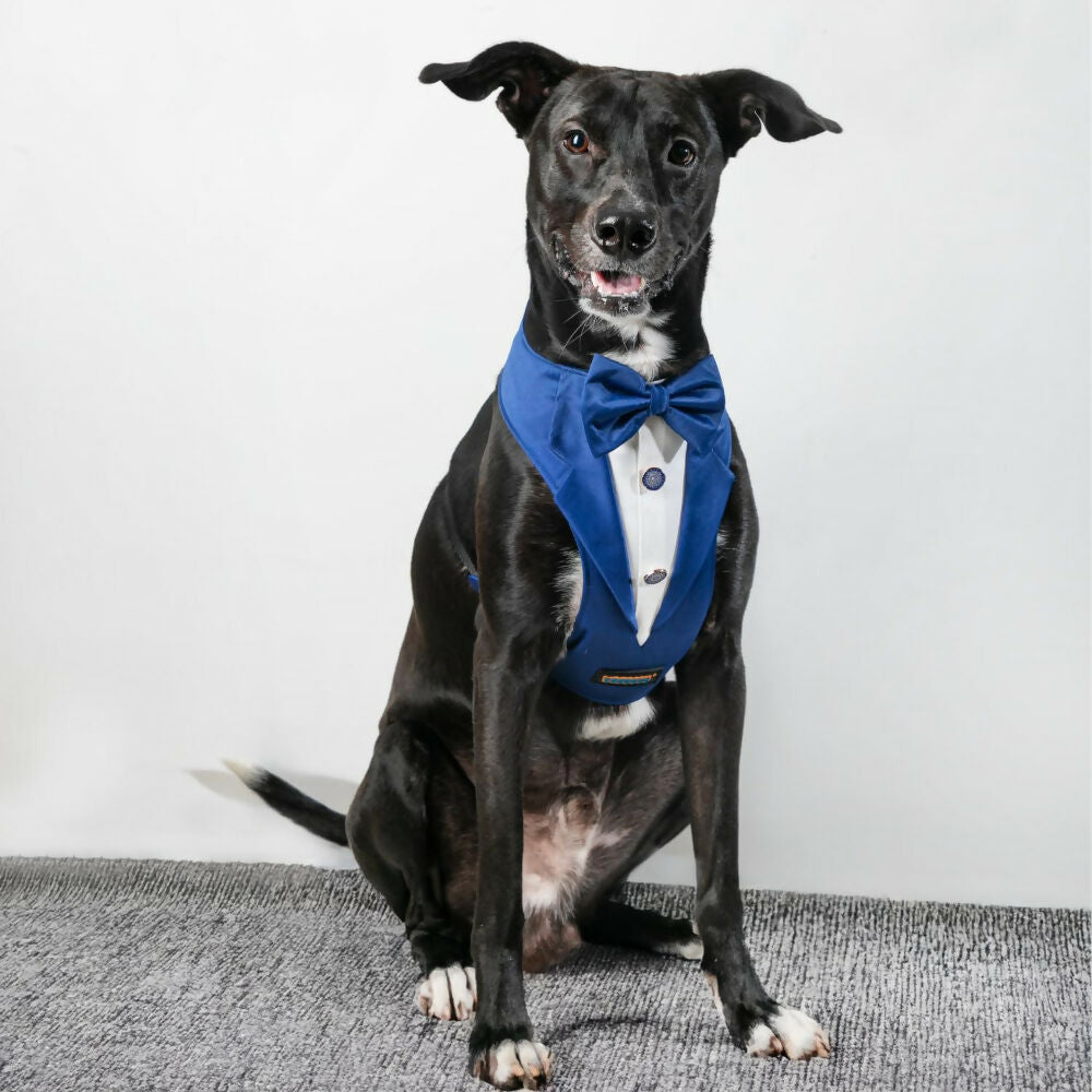 Waggety Tuxedo Dog Harness - Stylish Blue & White Design, Adjustable Fit, Durable Fabric, Elegant Pet Harness for Dogs | Grocsy