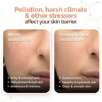 Mamaearth Chia Oil-Free Moisturizer with Chia Seed & Ceramides for Healthy Skin Barrier | Grocsy
