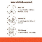 Soultree Ayurvedic Lip Gloss - Rich Earth | Grocsy