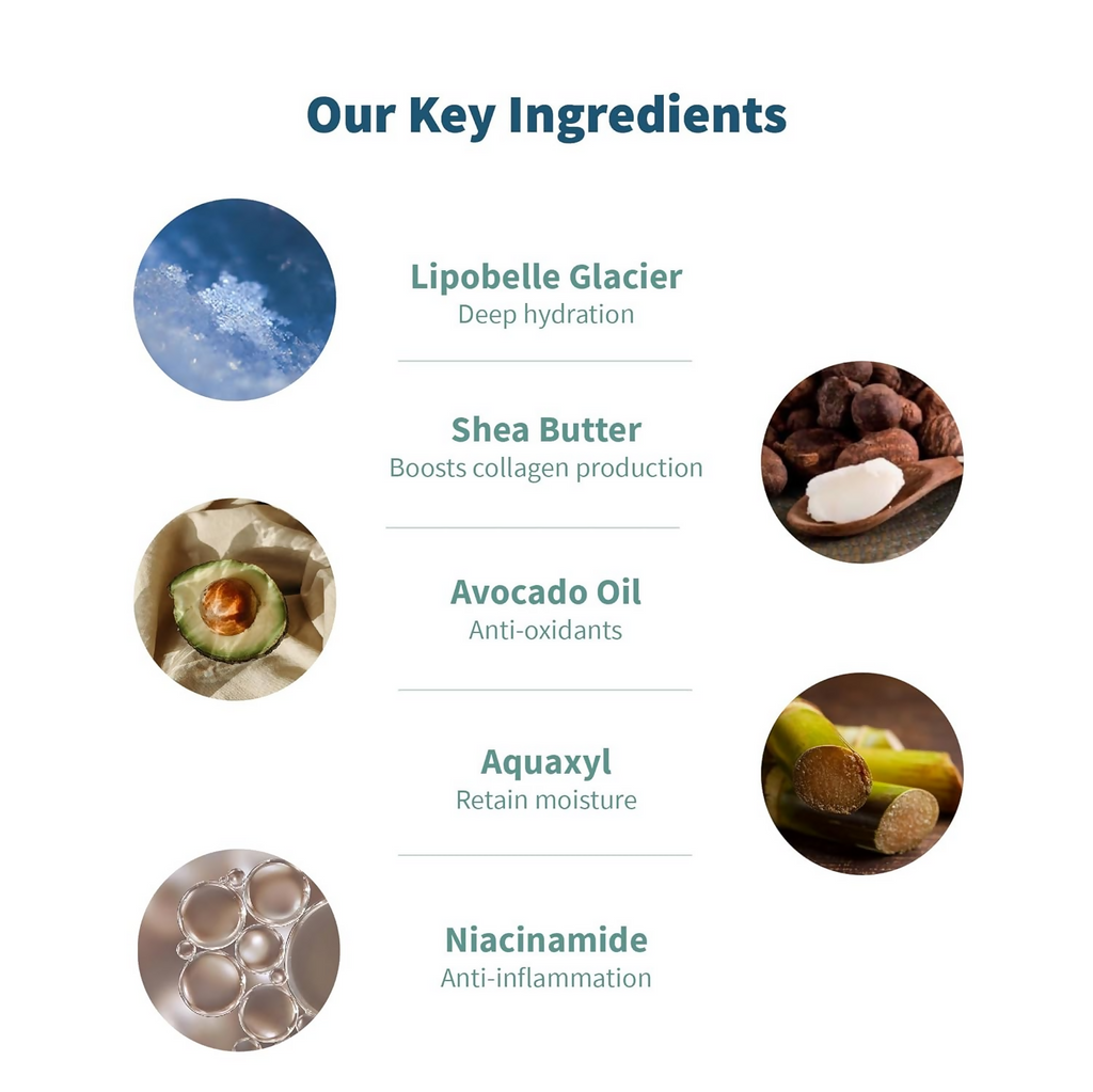 Meola Swiss Glacier Body Lotion With Niacinamide, Almond & Avocado Oil | Grocsy