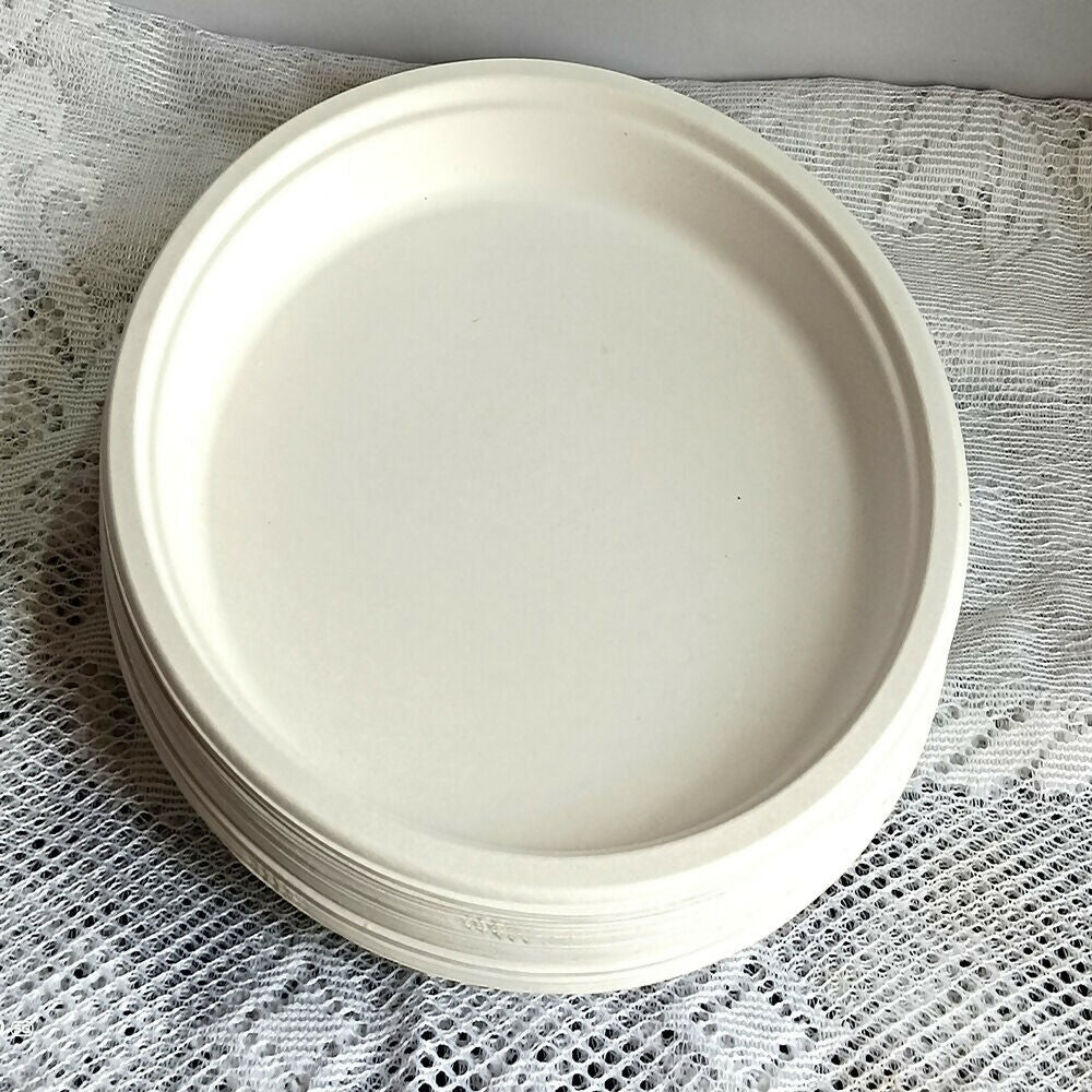 Disposable Round Plane Plates Big | Grocsy