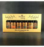 Ancient Living 6 Essential Oils Set | Grocsy