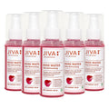 Jiva Ayurveda Rose Water Plain | Grocsy