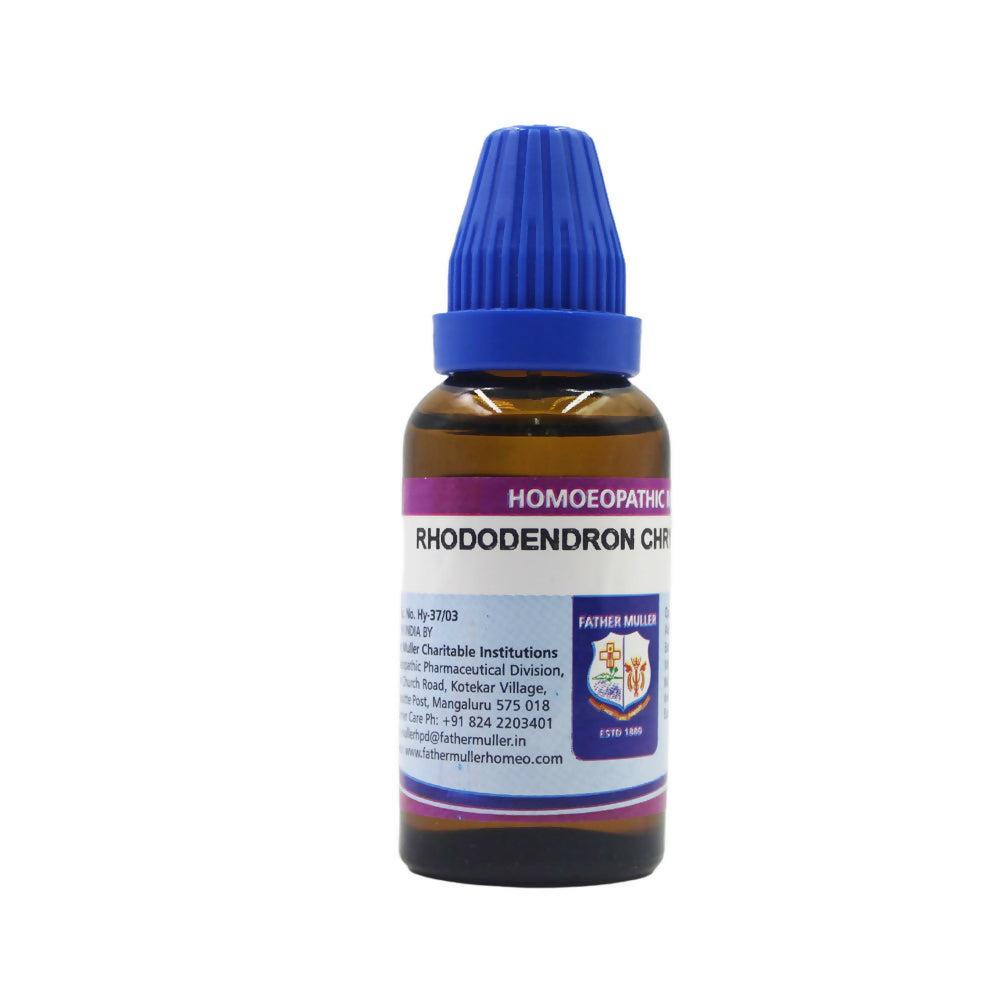 Father Muller Rhododendron Chrysanthum Dilution | Grocsy