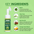 Herbal Canada Neem Aloe Vera Foaming Face Wash | Grocsy