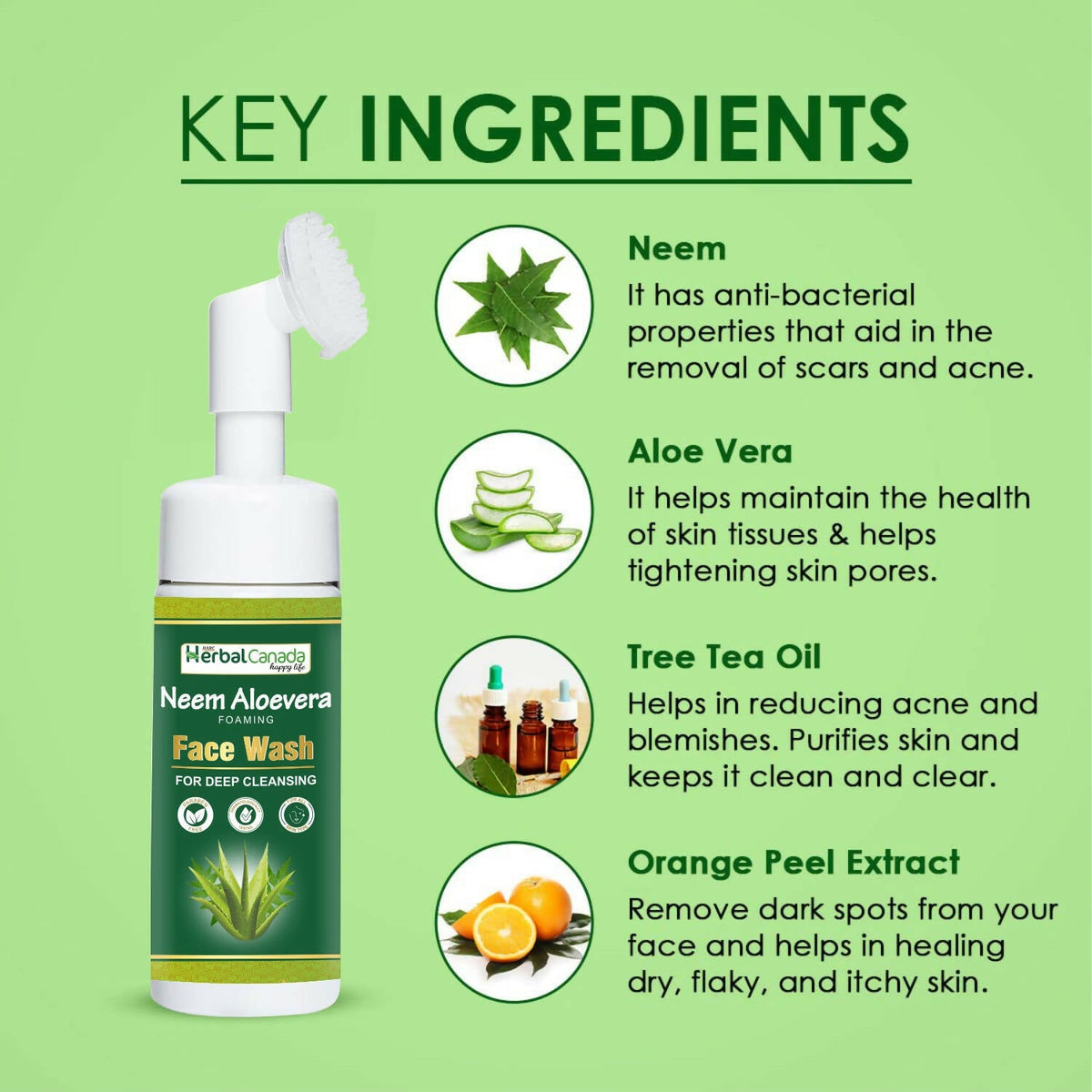 Herbal Canada Neem Aloe Vera Foaming Face Wash | Grocsy