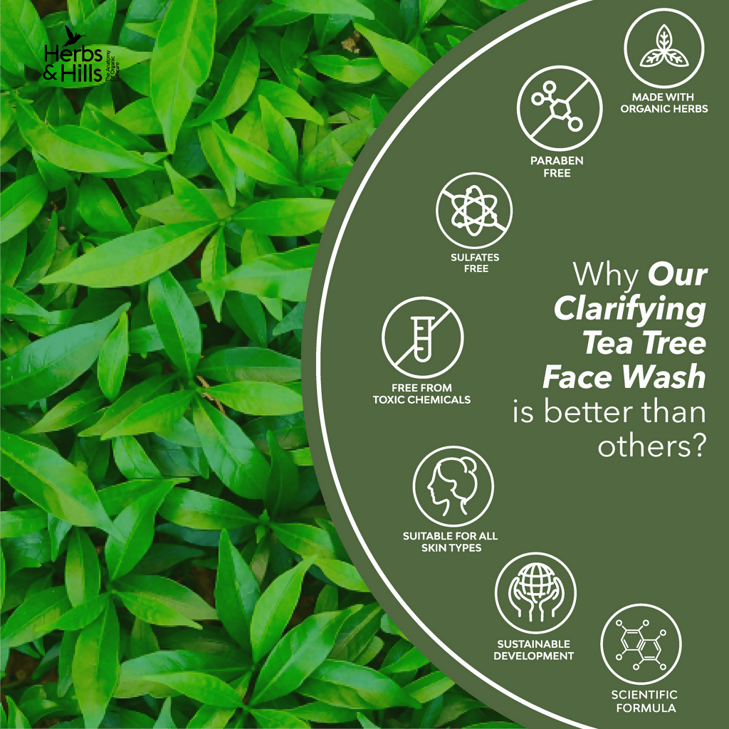 Herbs & Hills Clarifying Tea Tree Face Wash | Grocsy