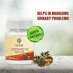 Life Aveda Urethritis Relief | Grocsy