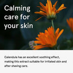 One Thing Calendula Officinalis (Pot Marigold) Flower Extract | Grocsy