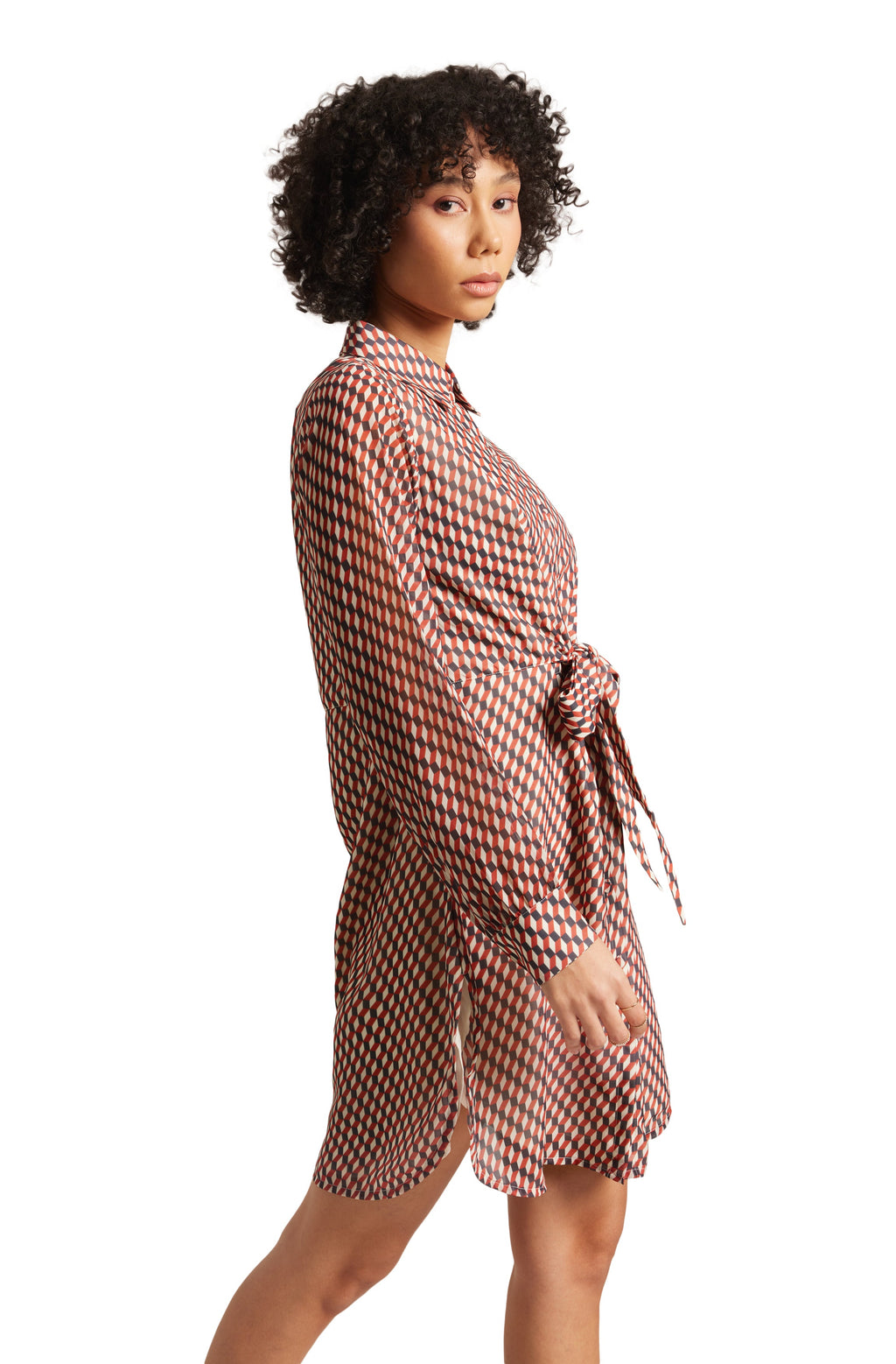 Zaccai Women's Brown Georgette Geometric Dress | Grocsy