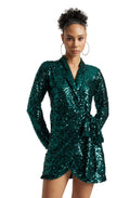 Zaccai Women's Green Poly Elastane Sequined Dress | Grocsy