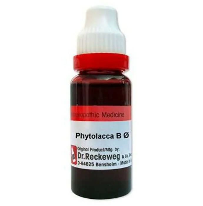 Dr. Reckeweg Phytolacca Berry Mother Tincture Q | Grocsy