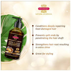 Inveda Moroccan Argan Oil & Agar Agar Shine & Hold Shampoo | Grocsy