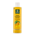 Organic Harvest Organic Nourishment Shampoo With Mango Butter | Grocsy