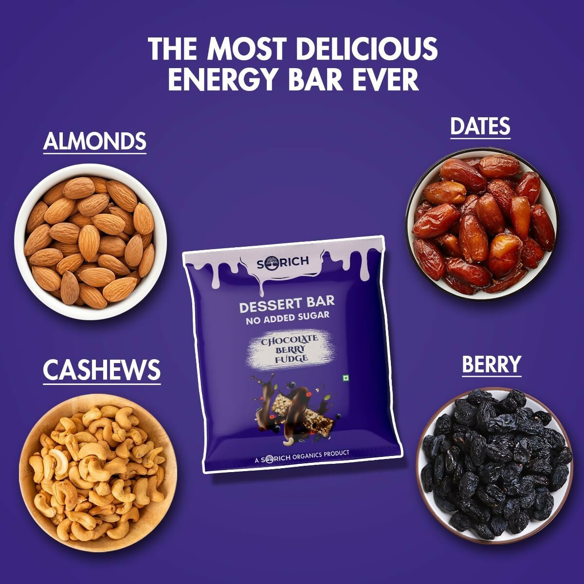 Sorich Organics Dessert Protein Mini Bars Chocolate Berry Fudge | Grocsy