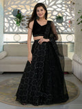 Tulsi Art Marvelous Black Sequins Organza Party Wear Lehenga Choli | Grocsy