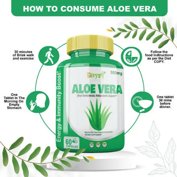 Divya Shree Aloe Vera Capsules | Grocsy