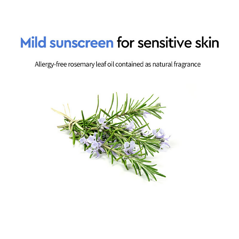 Dewytree Moisture Repair Tinted Korean Sunscreen SPF 50+ PA++++ | Grocsy