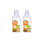 Zindagi Amla Premium Juice (Sugar Free) | Grocsy