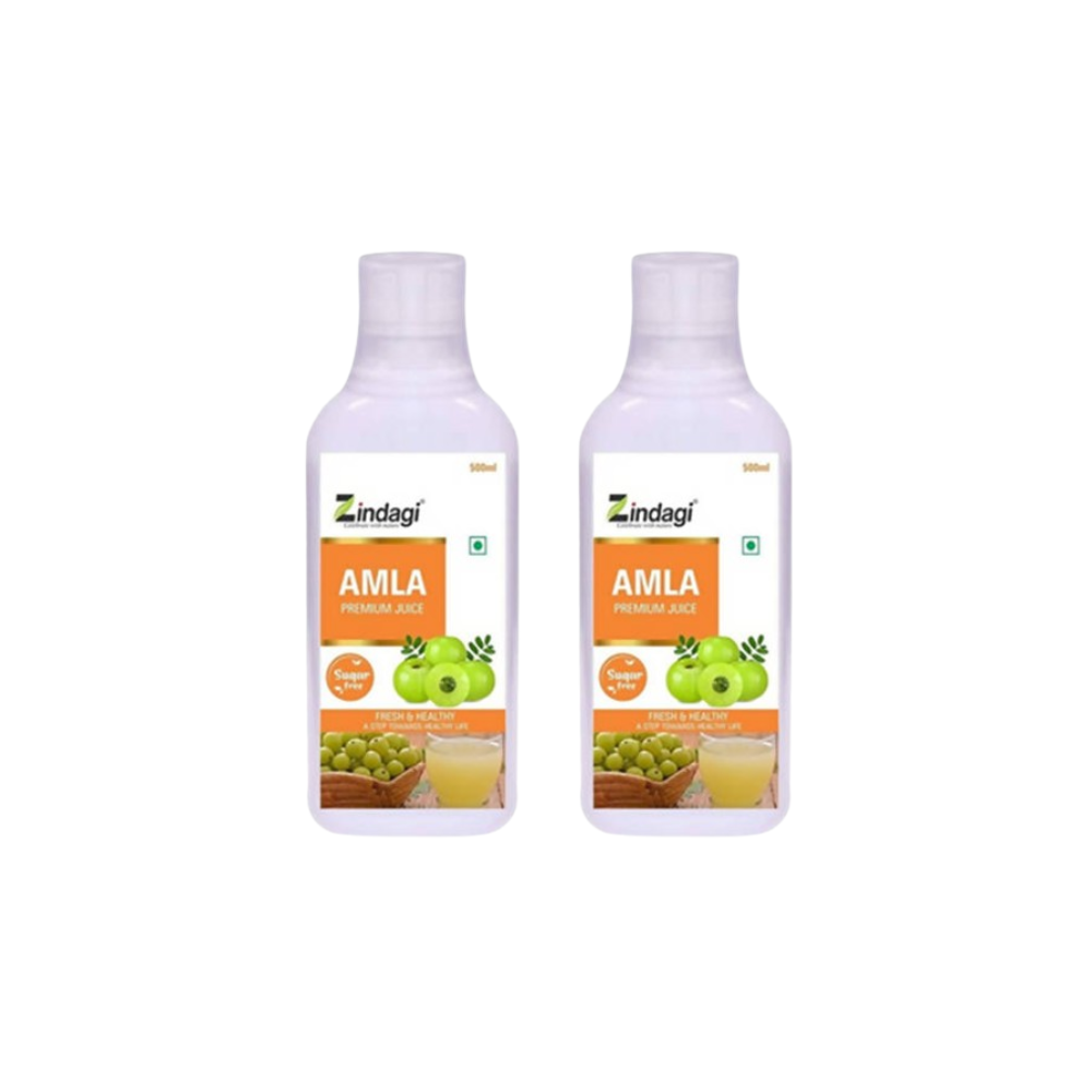 Zindagi Amla Premium Juice (Sugar Free) | Grocsy