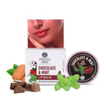 Ayouthveda Chocolate & Mint Lip Balm | Grocsy
