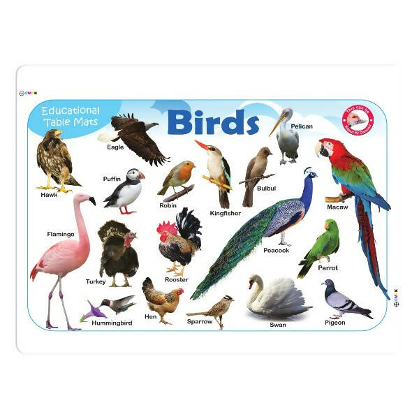Jolly Kids Picture Learning Educational Table Mat for Kids Set of 8| Ages 2-6 Years| Laminated Picture learning Sheet | Grocsy
