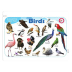 Jolly Kids Picture Learning Educational Table Mat for Kids Set of 8| Ages 2-6 Years| Laminated Picture learning Sheet | Grocsy