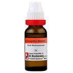 Dr. Reckeweg Kali Bichrom Dilution | Grocsy