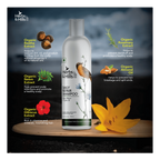 Herbs & Hills All Plant Daily Repair Shampoo | Grocsy