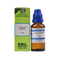 SBL Homeopathy Corallium Rubrum Dilution | Grocsy