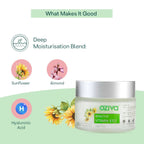 OZiva Bioactive Vitamin E122 Night Gel | Grocsy
