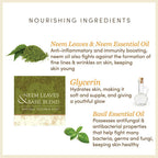 The Earth Reserve Neem Leaves & Basil Blend Soap | Grocsy