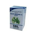 SBL Homeopathy Bacopa Monnieri Tablets | Grocsy