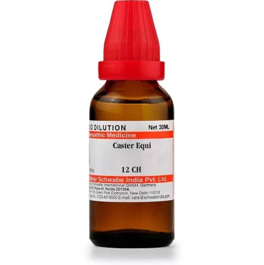 Dr. Willmar Schwabe India Castor Equi Dilution | Grocsy